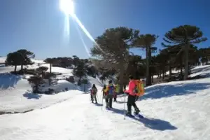 Trekking en Primeros Pinos