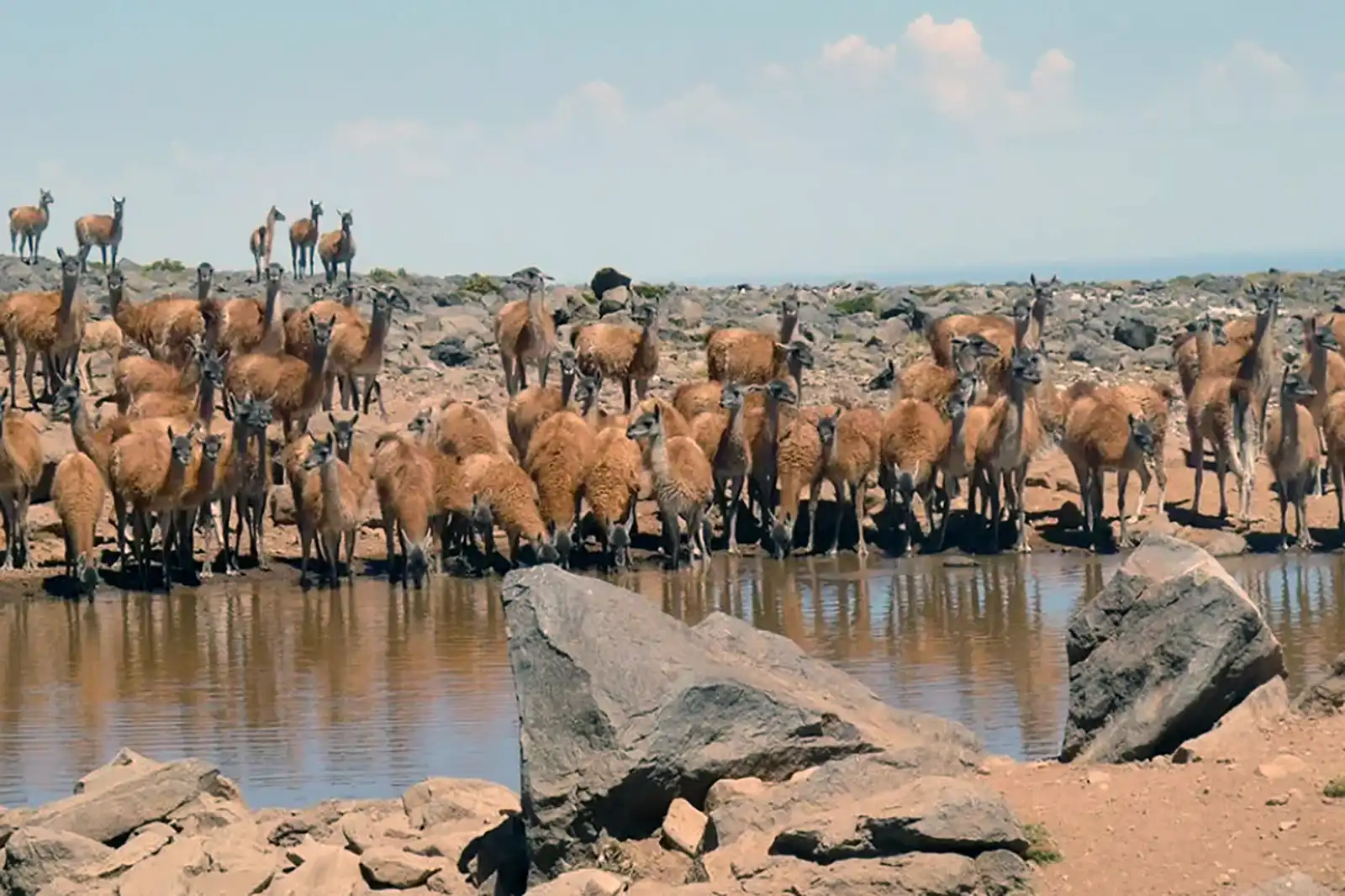Áreas naturales protegidas de Neuquén